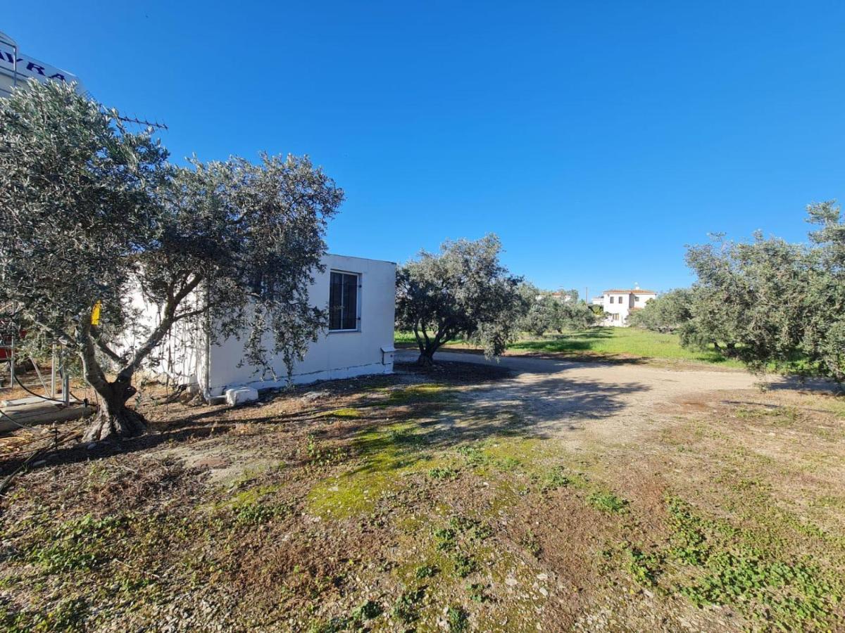 Spacious Studio In Yeroskipou Koloni Exterior foto