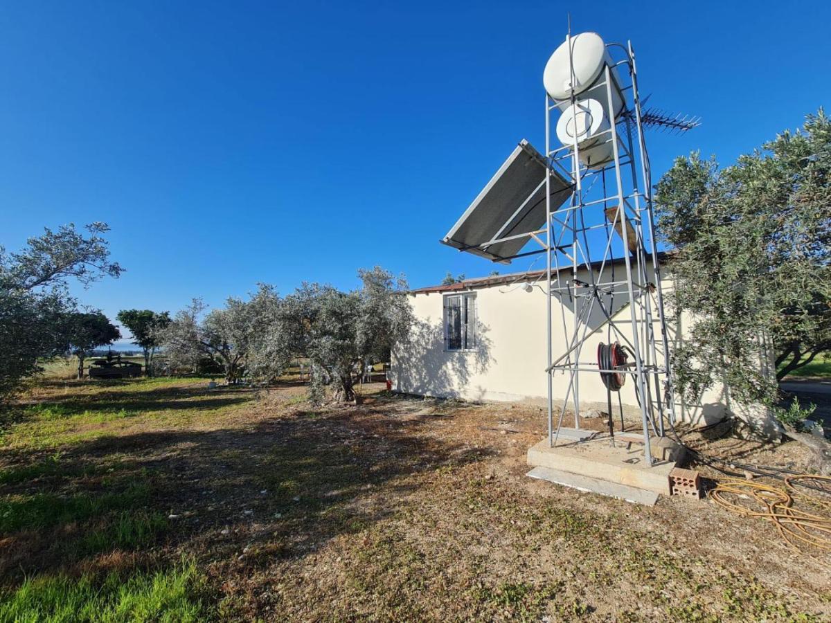 Spacious Studio In Yeroskipou Koloni Exterior foto
